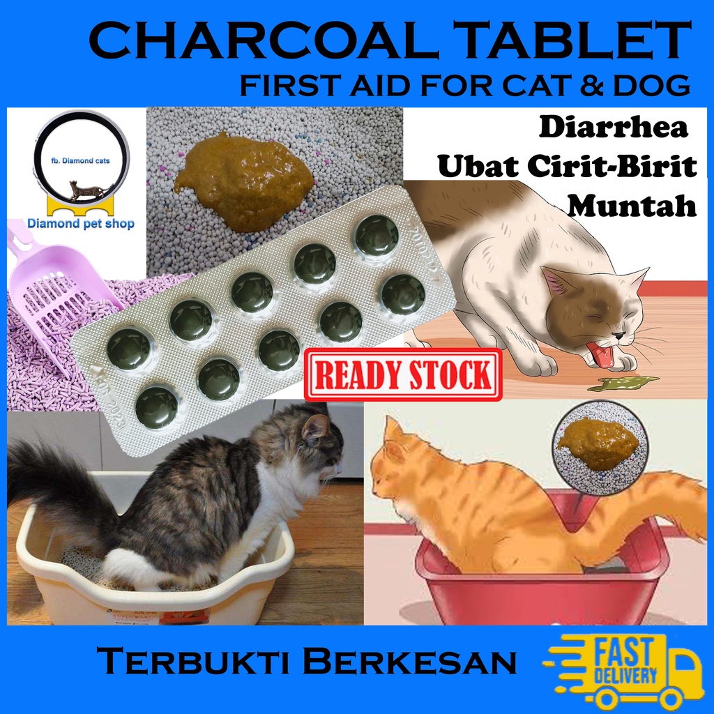 Medicine Cirit Birit Vomiting Poisoning Diarrhea Cat Dog (1 Piece) * Effective* Charcoal Tablets