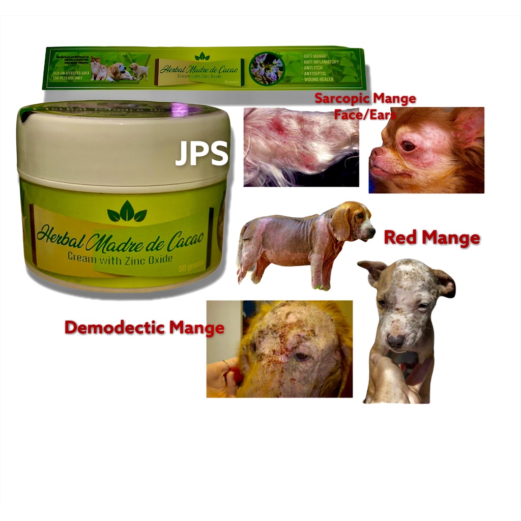 MADRE DE CACAO TOPICAL HEALING OINTMENT CREAM ANTI BACTERIAL MANGE FUNGAL FOR DOG CAT GALIS SUGAT Shopee Philippines