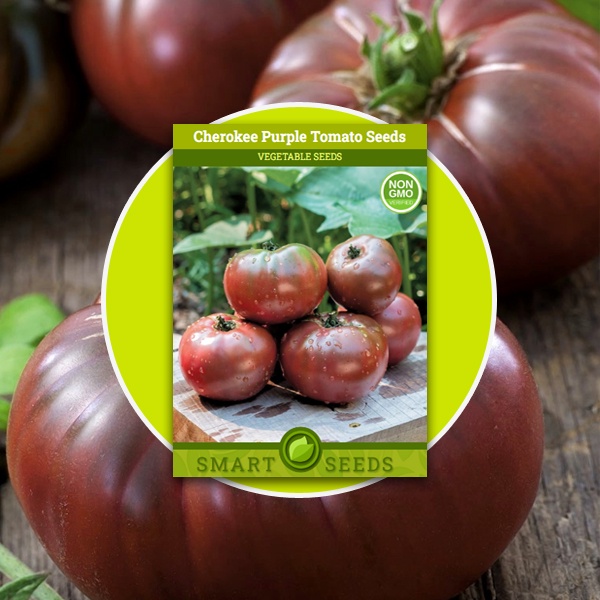 Cherokee Purple Heirloom Tomato Seeds – 20 Seeds By Mad River Seeds, Non-GMO, Open-Pollinated