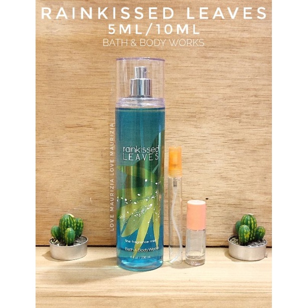 Rainkissed discount leaves perfume