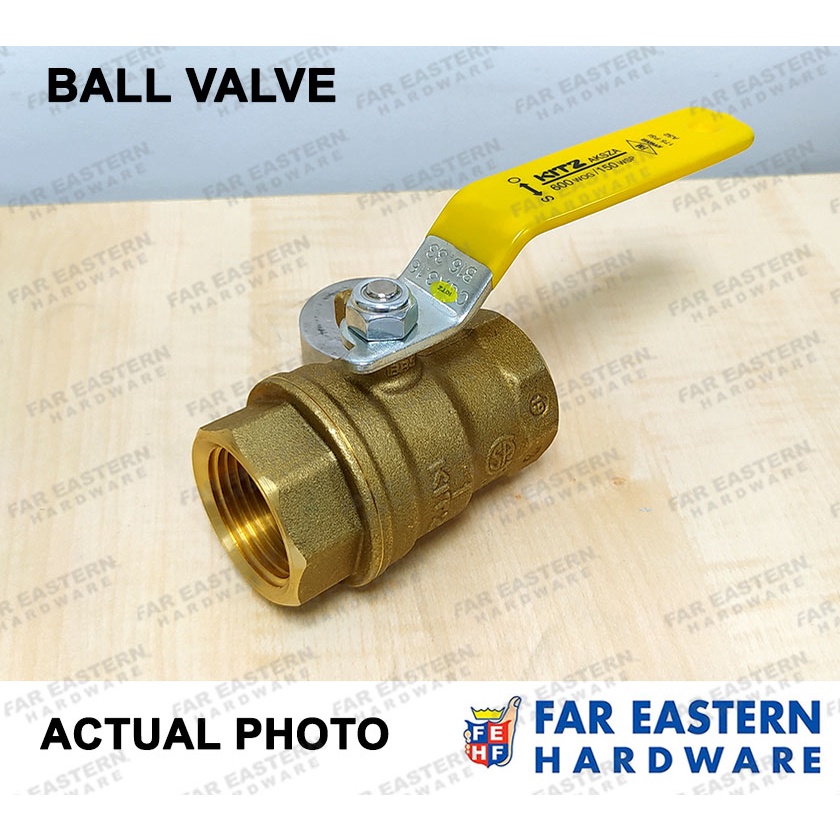 KITZ Brass Ball Gate Swing Check Valve 1-1/4