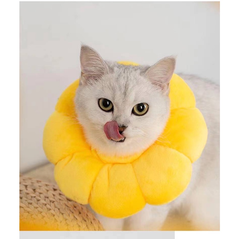 Cat E-Collar Neck Cone Soft Padded Cat Cone | Shopee Philippines