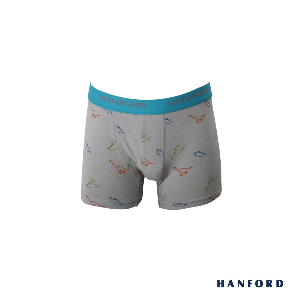 Hanford Kids/Teens Cotton w/ Spandex Boxer Briefs - Dino Print (Single ...