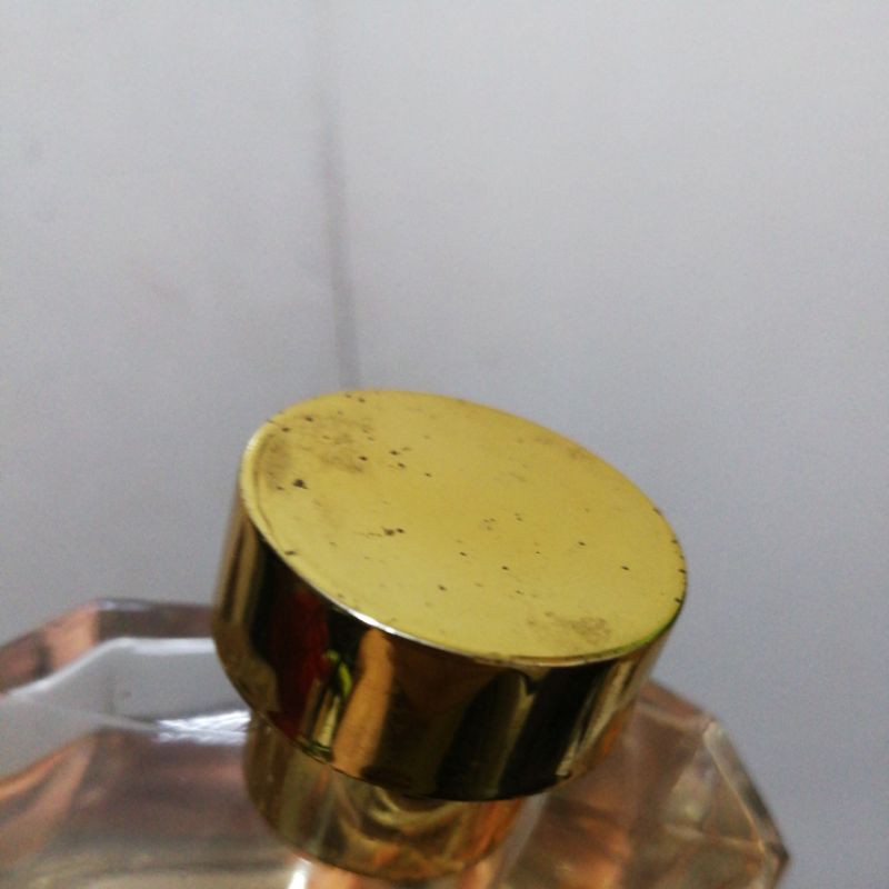 Botanic Blush by Preferred Fragrance 100ml NO BOX | Shopee Philippines