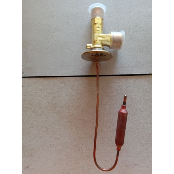Expansion Valve Nissan Sentra / Nissan Urvan Escapade /Nissan (Single
