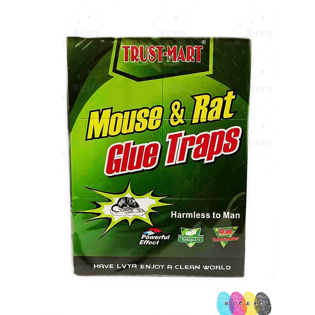 Mouse & Rat Glue Traps | Shopee Philippines