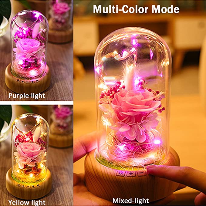 Real Preserved Rose In Glass Dome Preserved Rose Flower LED Light With ...