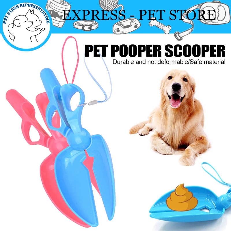 Best Grooming Tools for Golden Retrievers to Keep Their Coat Healthy ...