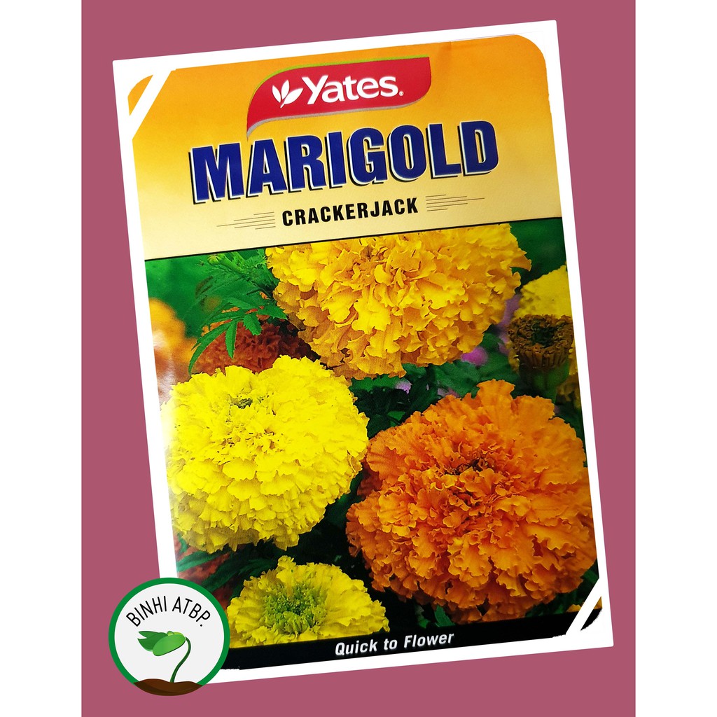 Ferry-Morse Marigold Crackerjack Mixed Colors Flower Seeds (Seed