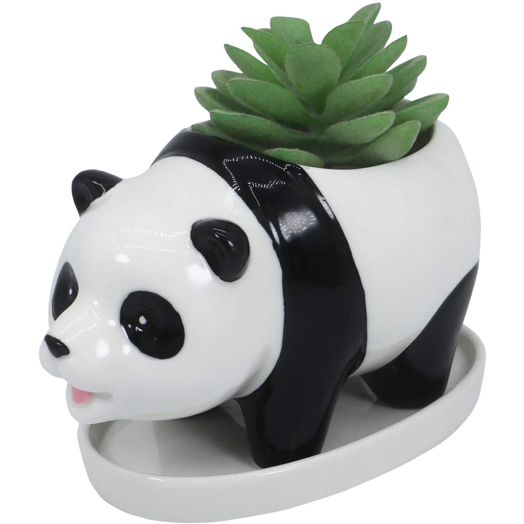 Cute Panda Succulent Planter Pot with Drainage Tray, White Ceramic ...