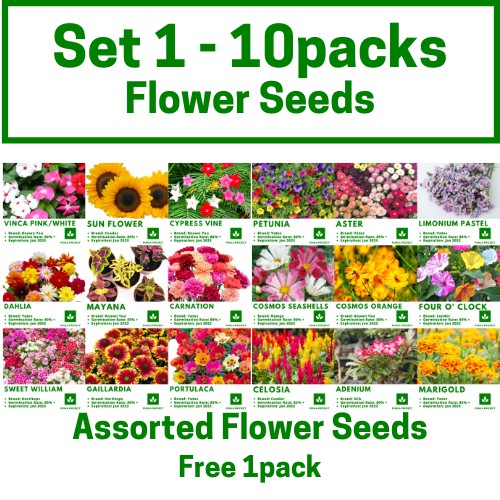Assorted Flower Seeds Set 1-4 ( 10-40packs ) | Shopee Philippines