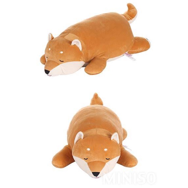 Shiba best sale plush miniso