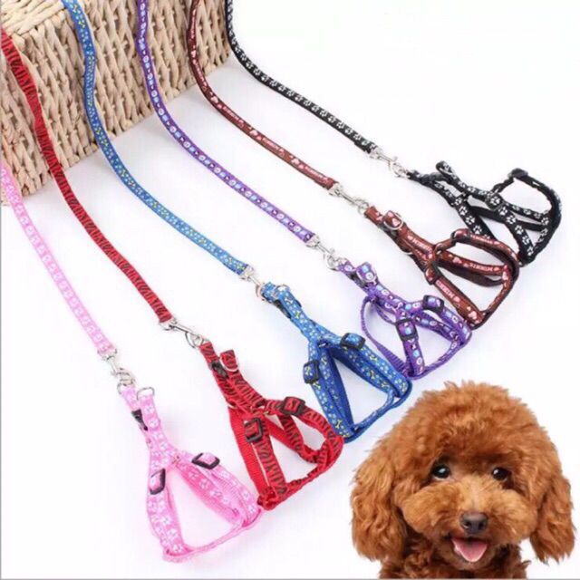 【COD】Pet Dog leash harness dog leash Shopee Philippines
