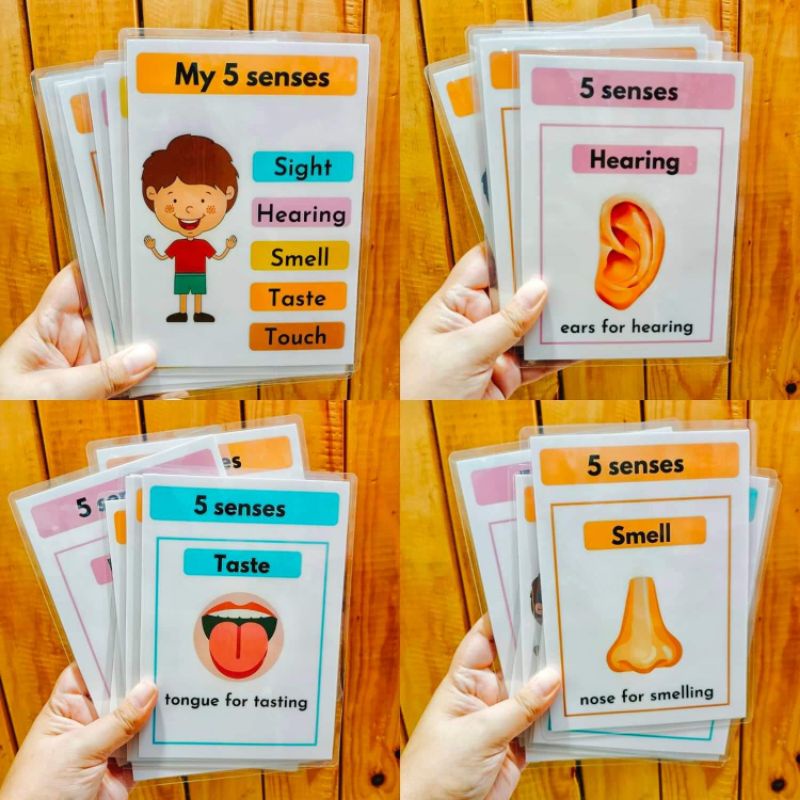 5 senses laminated flash cards 5R | Shopee Philippines