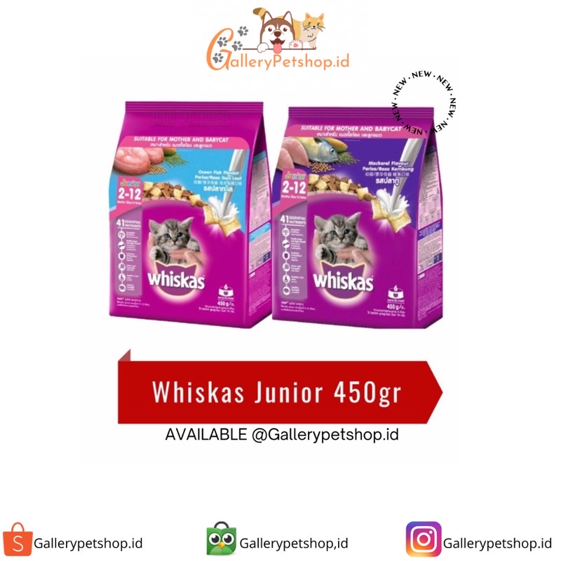 Whiskas Junior 450g Dry food/whiskas Dry Cat food Shopee Philippines