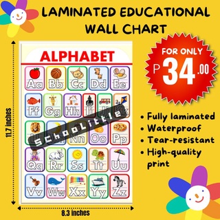 Tear Resistant Laminated Alphabet Poster