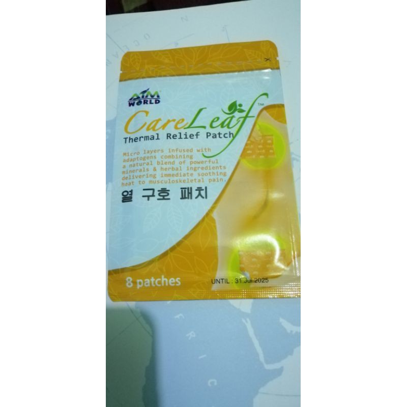 Care Leaf Thermal Relief Patch Shopee Philippines
