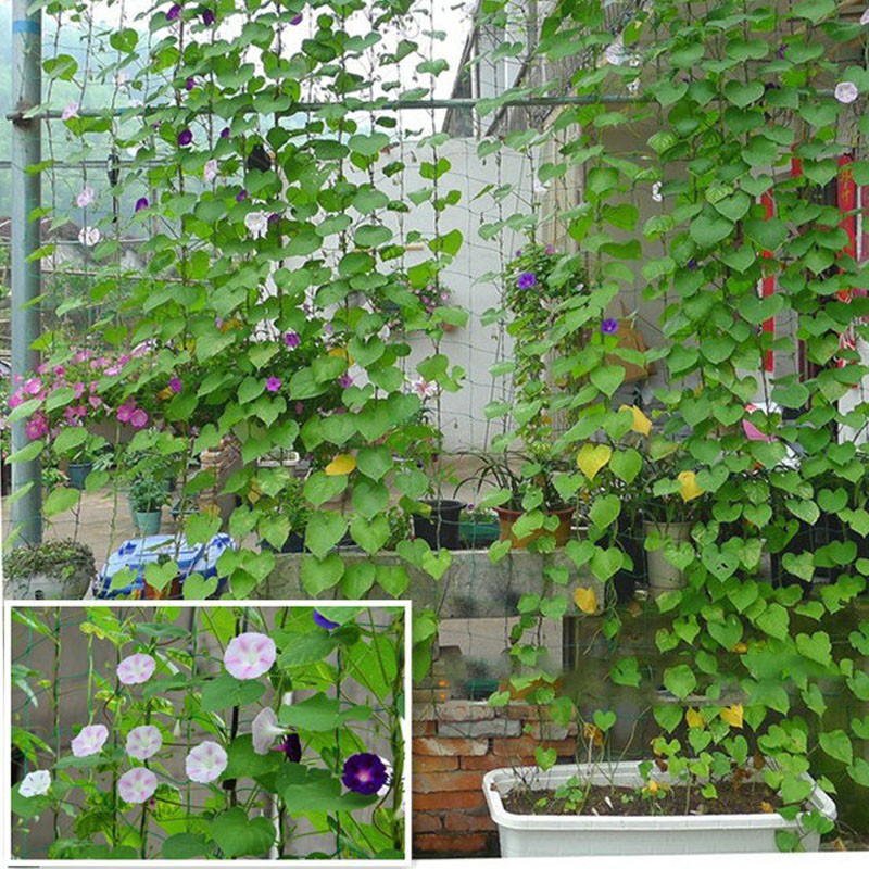 Plant Climbing Net Vines Support Nylon Trellis Netting Grow Fence 4 ...