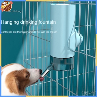 Dog self 2024 water feeder