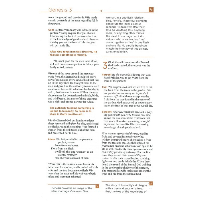 The Voice Bible, Hardcover: Step Into the Story of Scripture (JB ...