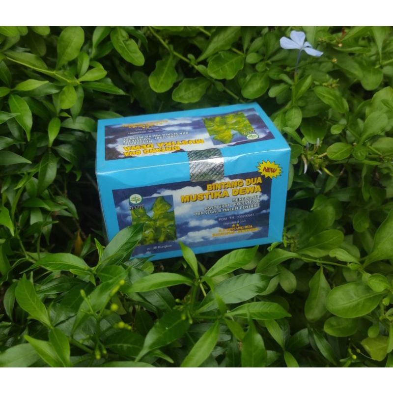 ORIGINAL MUSTIKA DEWA HERBAL TEA (BINTANG DUA) | Shopee Philippines