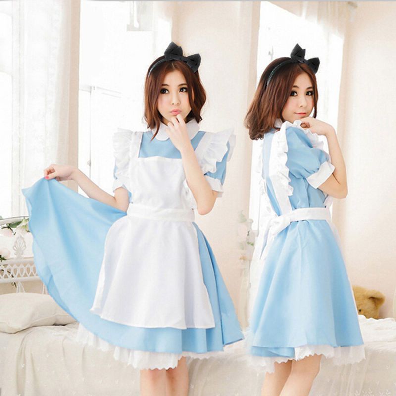 Alice In Adult Wonderland Costume Cosplay Women Girl Maid Fancy Dress ...