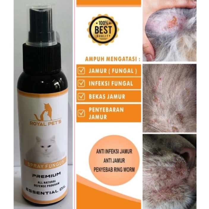 Cat Fungus Medicine 100ml Spray/Spray Fungus, premium RoyalPets. Anti ...