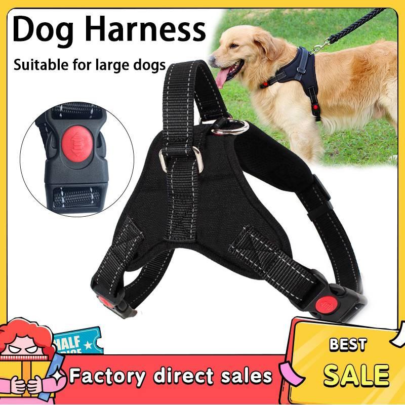 Large Dog Chest Harness Leash Adjustable Collar Leash Dog Leads for