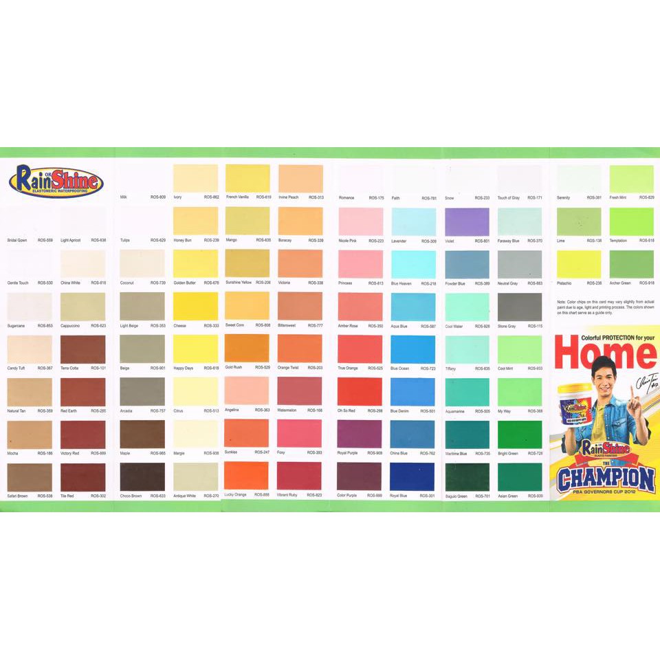 Rain Or Shine Elastomeric Paint Black Shopee Philippines