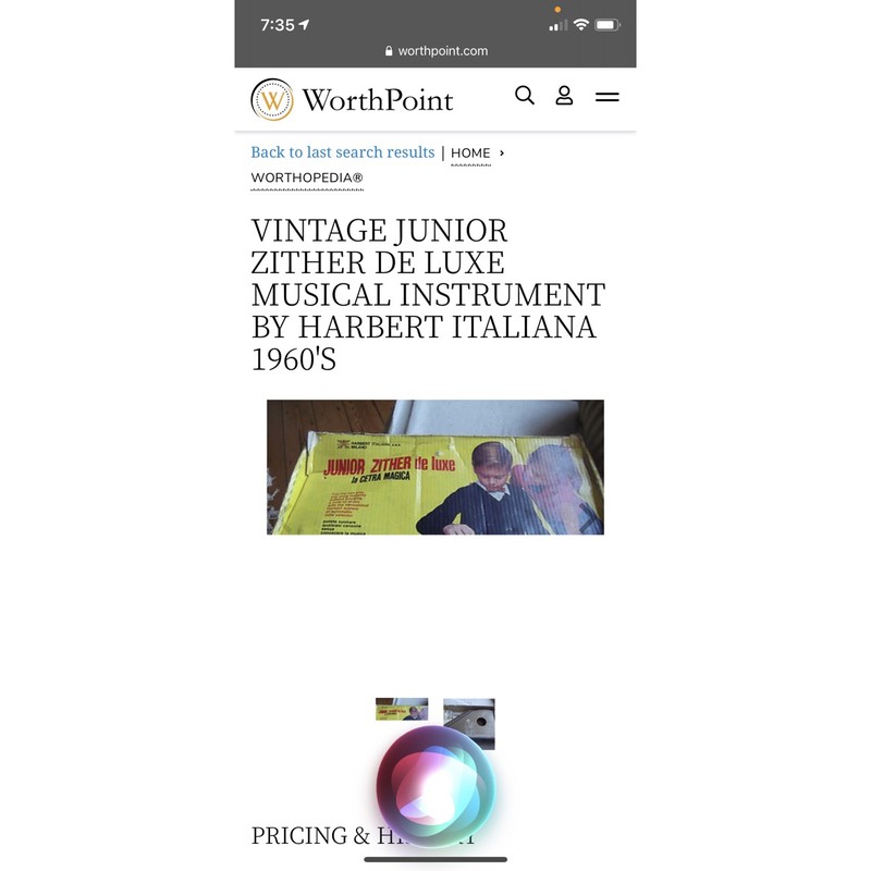 Junior zither deals