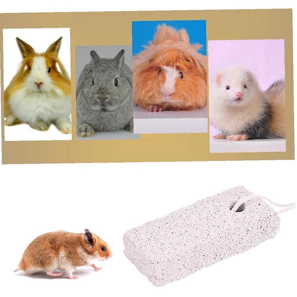 1pc Hamster Teeth Grinding Wheel Rabbit Molar Stone Rodent Minerals