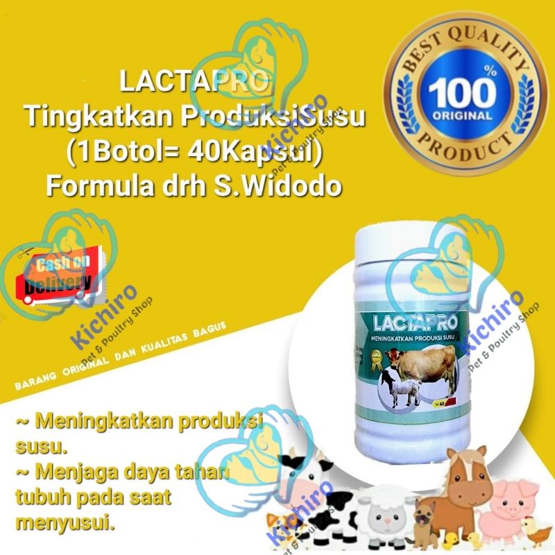 Lactapro Contains 40 Vitamin Capsules To Increase Milk Production In