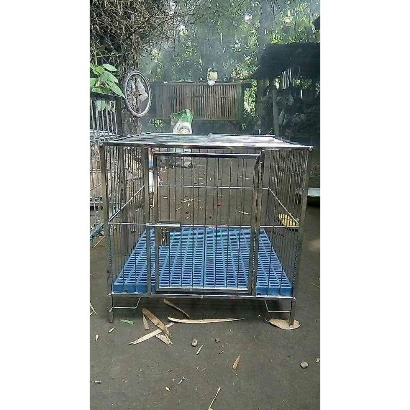 Dog 2024 cage fabrication