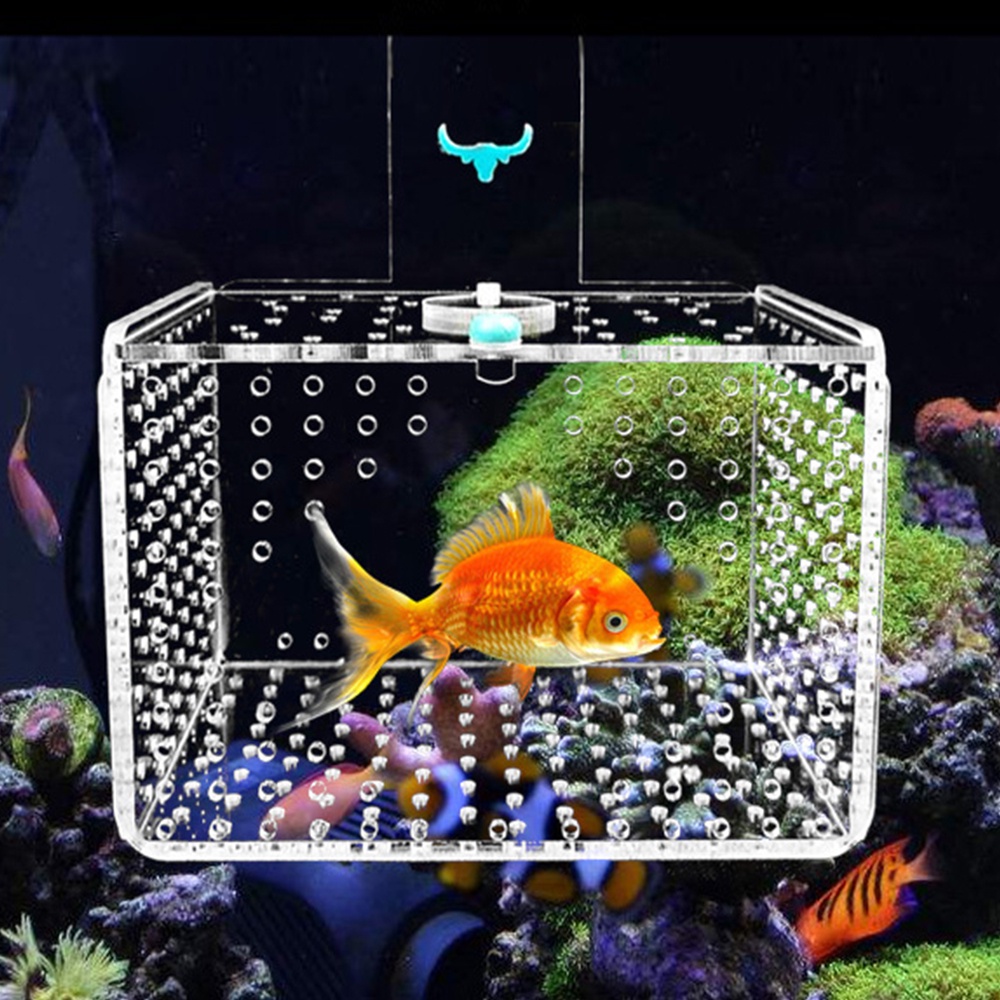Breeding Box Acrylic Box for fish, disease Box, sick fish separator Box