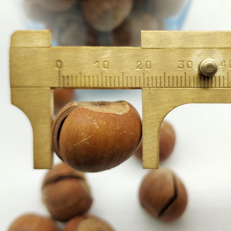 Nut Open big hazelnuts new original sugarfree cooked pregnant women