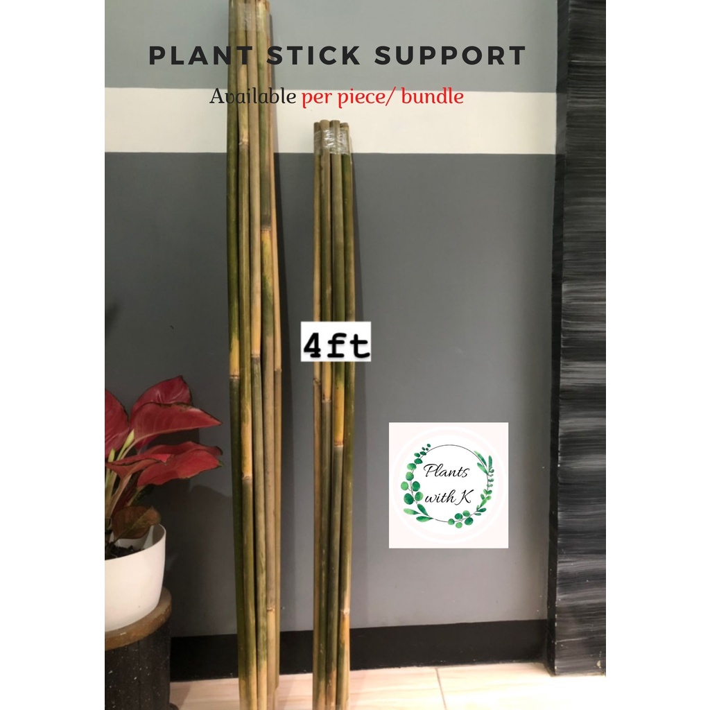 1PIECE‼️ Plant Support Stick, Plant Stake, Plant Base, Bamboo fence