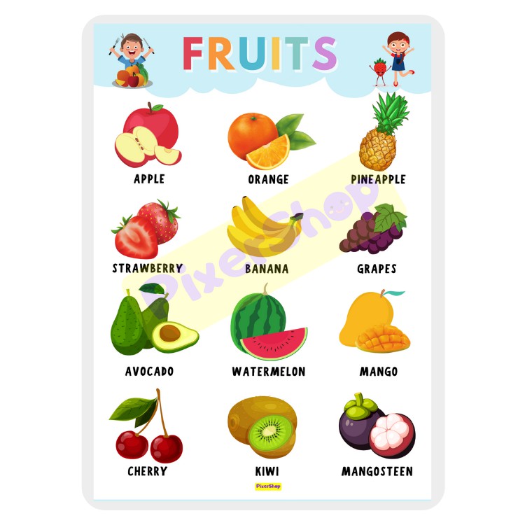 LOWEST PRICE! HIGH QUALITY A4 LAMINATED EDUCATIONAL CHARTS FOR KIDS ...