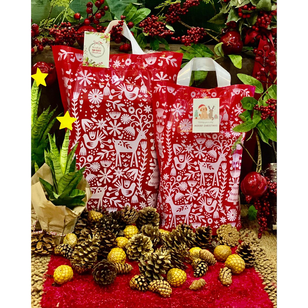 GIFT BAGS 10 PCS CHRISTMAS GIFTS , HAM / ALL OCCASIONS 10 PCS