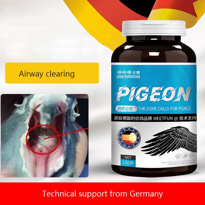 Pigeon respiratory tract pigeon cough mucus sputum snoring eyes red and