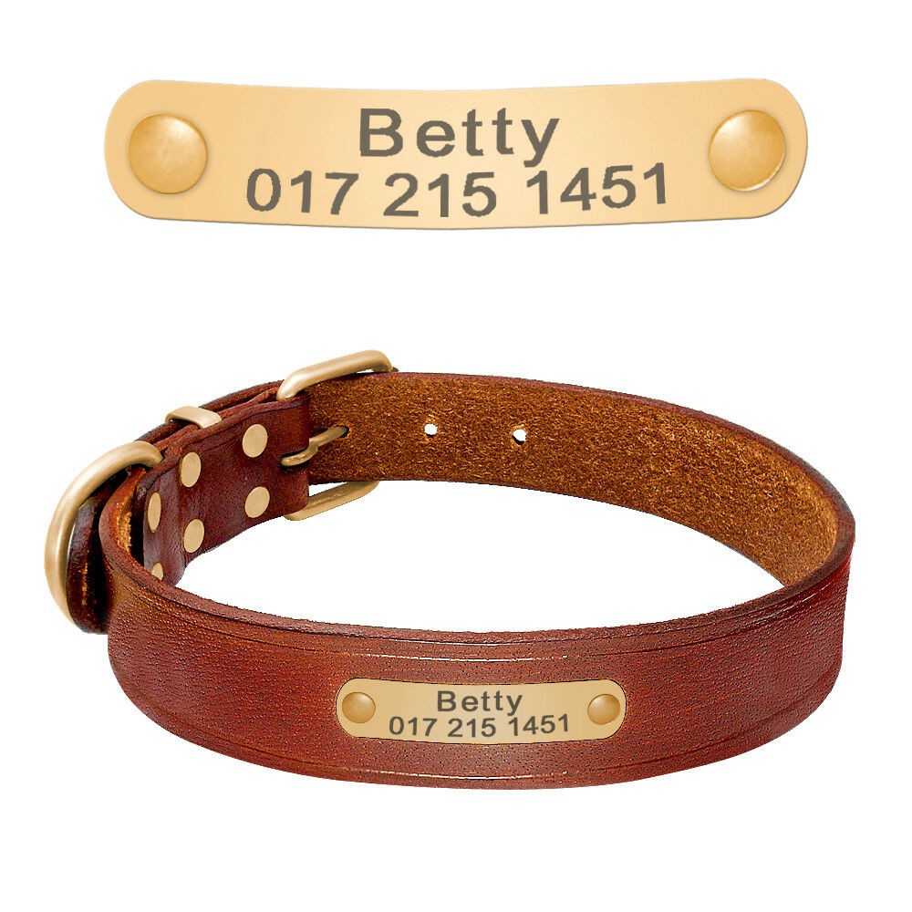 Personalized Real Leather Dog Collars Customized Name ID Tag Rottweiler ...