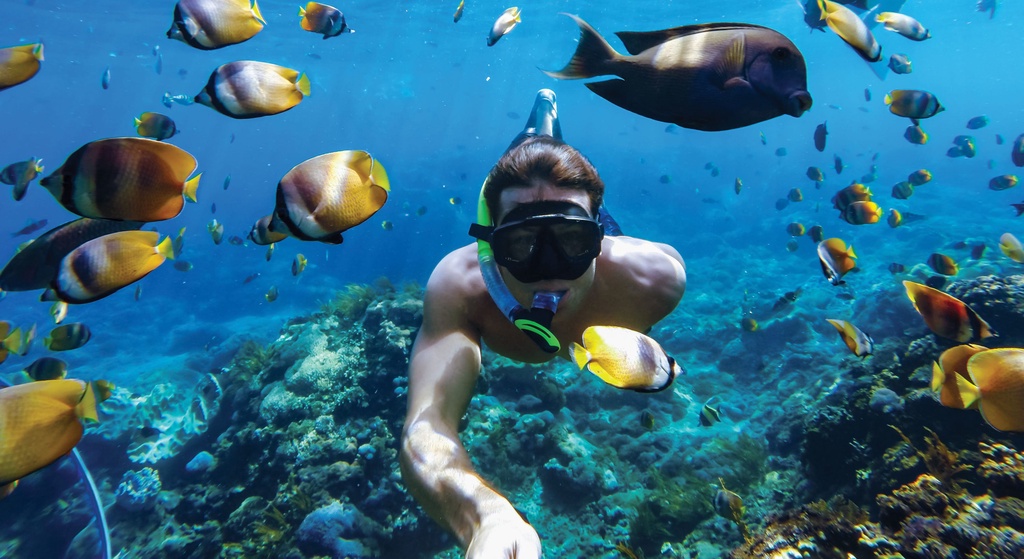 GoPro Protective Housing Waterproof Case Hero13/12/11/10/9 Waterproof ...