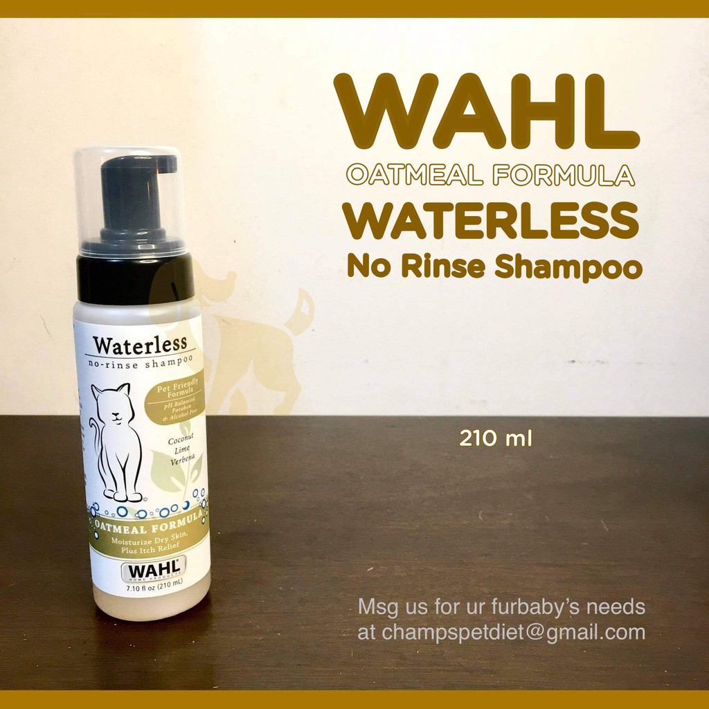 Wahl no best sale rinse shampoo