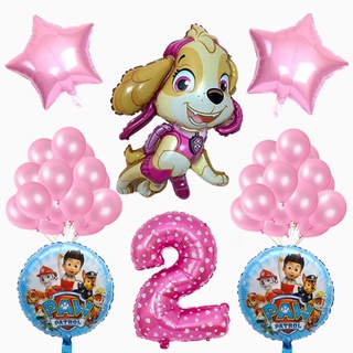 Paw Patrol Skye and Everest Balloon, 25-in