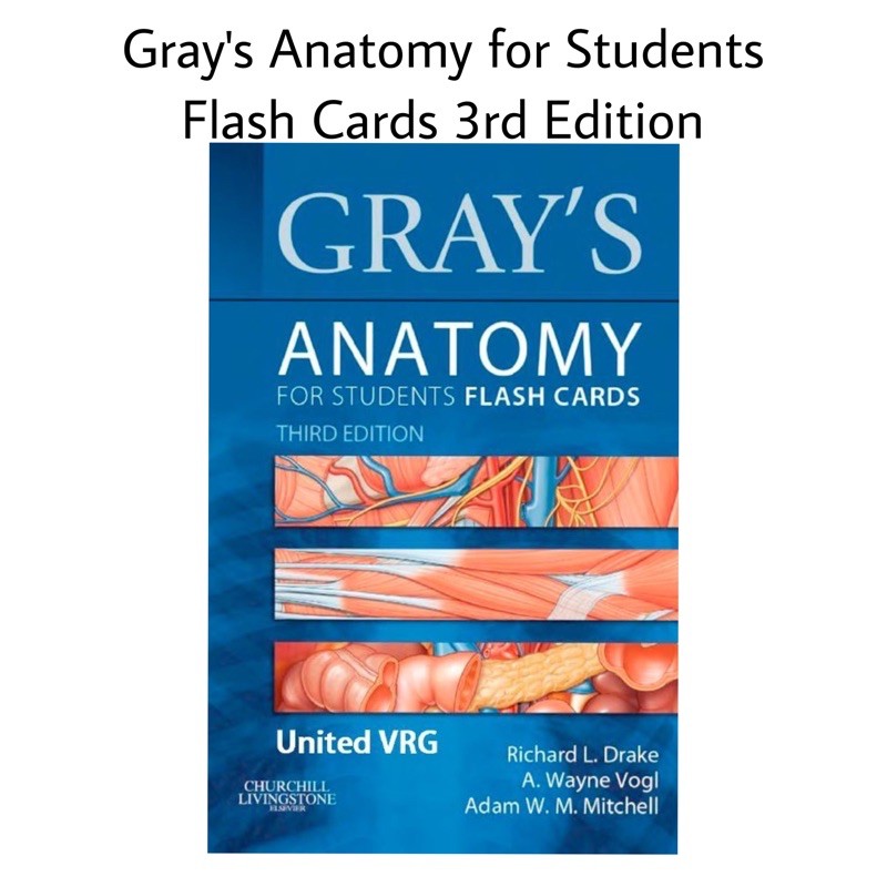 GRAY'S ANATOMY フラッシュカード 第5Gray's Anatomy Gray's