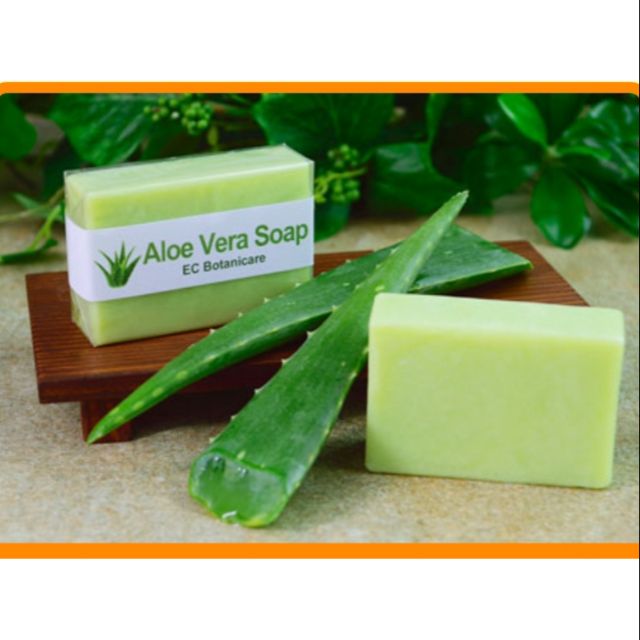 Healing Galing Aloe Vera Soap Shopee Philippines