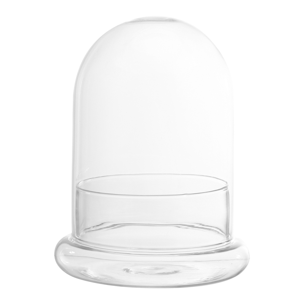 Glass Display Dome Clear Glass Cloche Bell Jar Terrarium Display Dome Decorative Case For Plants