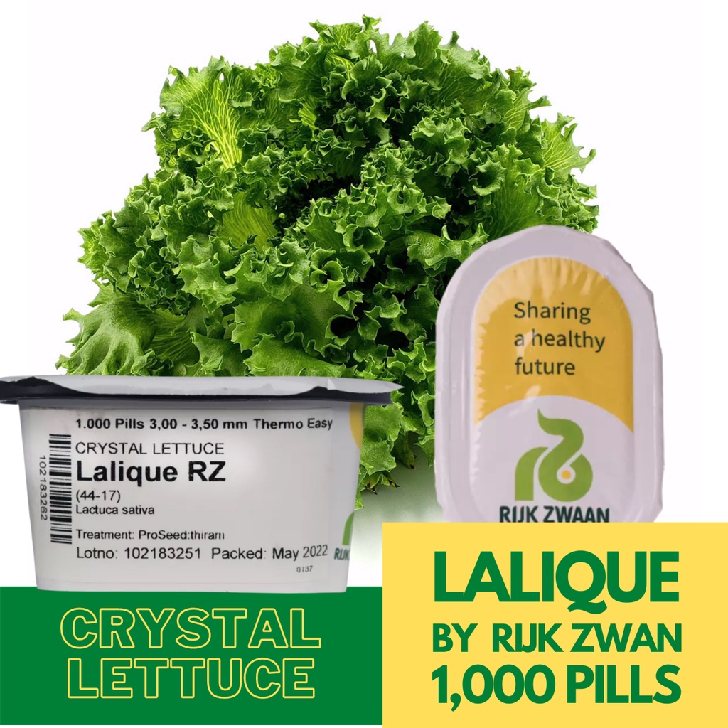 Lalique Crystal Lettuce Seeds Rijk Zwaan Budget Sizes Shopee