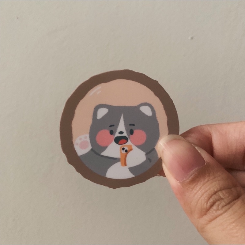 Phaedra Stuff - Mirror Selfie Kitty Sticker | Paint sticker | Paint ...