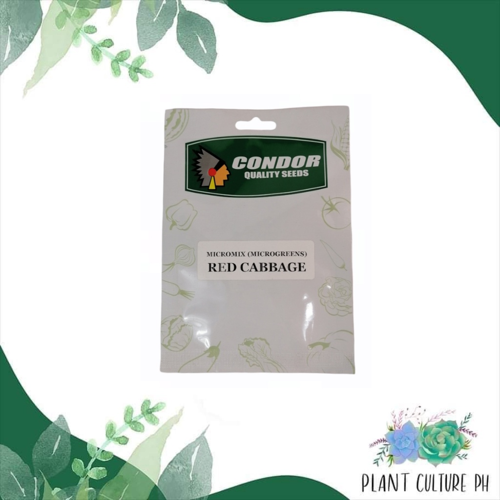 Condor Quality Seeds Micro Mix Microgreens Red Cabbage 2G | Shopee ...