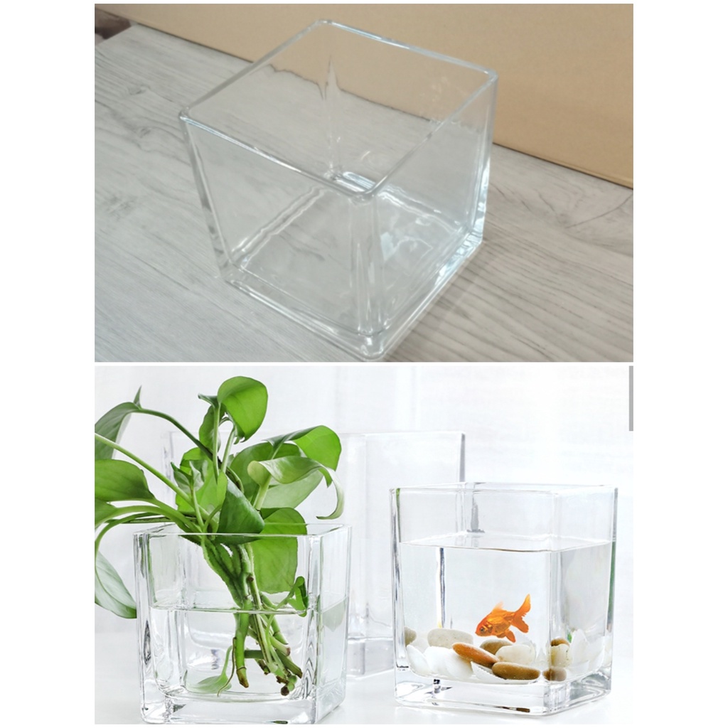 Glass Fish Tank, Hydroponic Container, Plant Container, etc. | Shopee ...